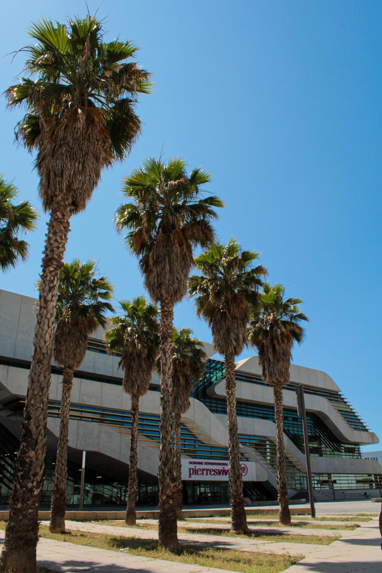 Bel Proche,ovalie Gglstadium, Faculté Médecine, Plages Et Place De La Comédie * Montpellier